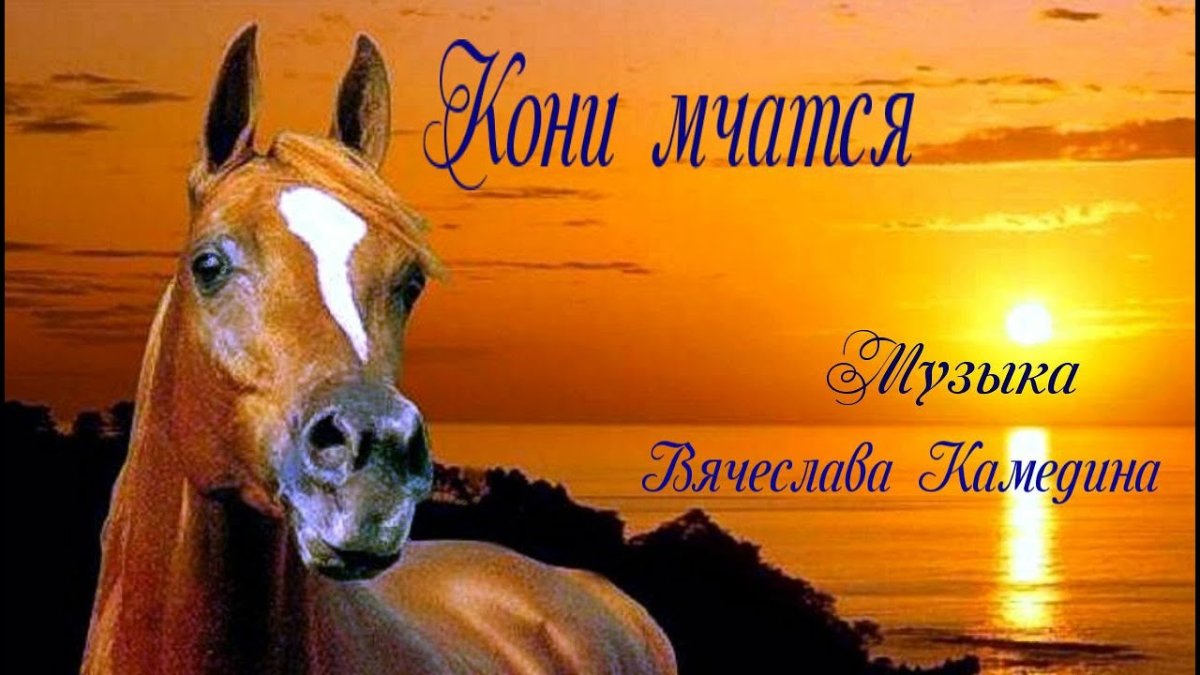 Лошадь юмор