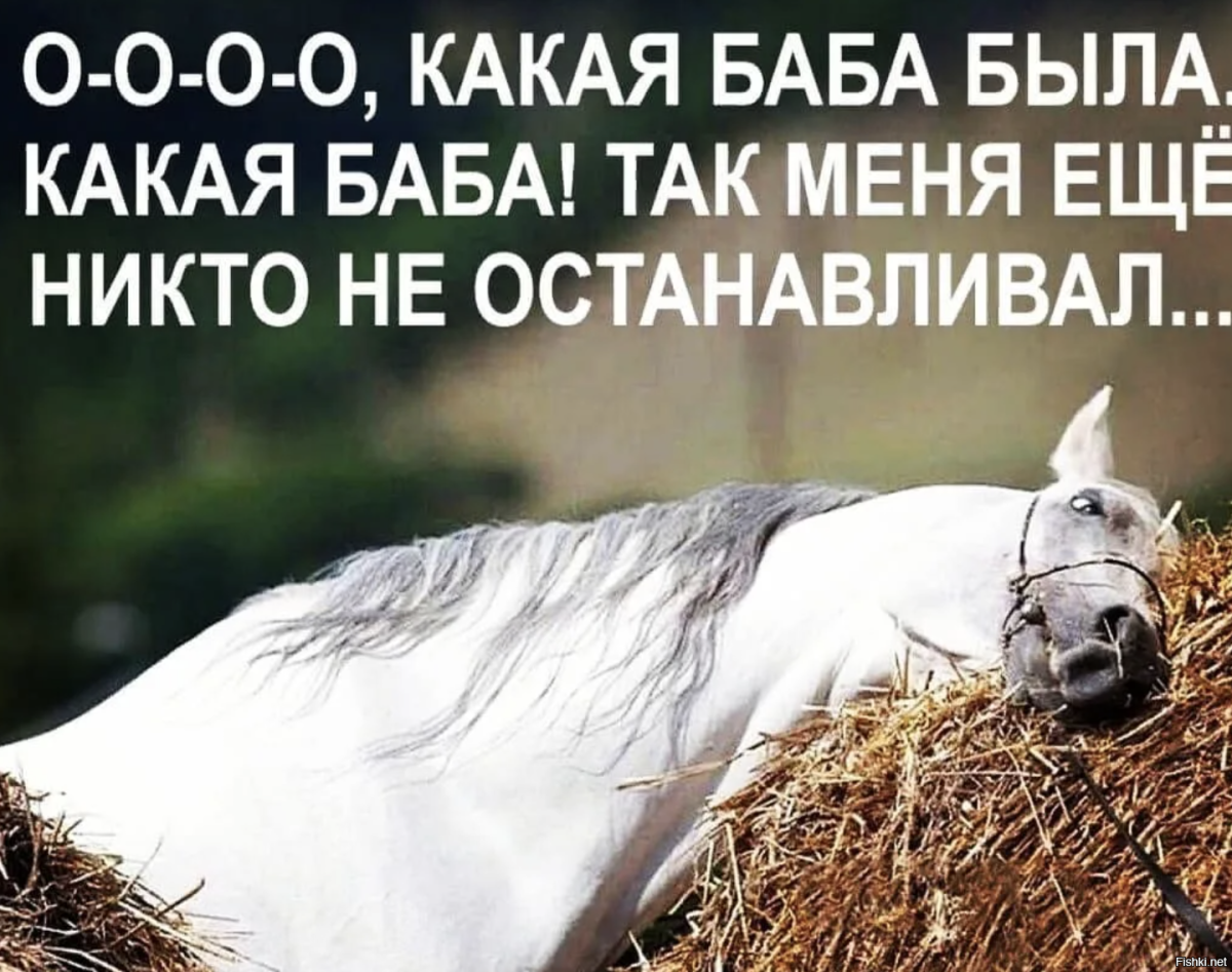 Обиженная лошадь