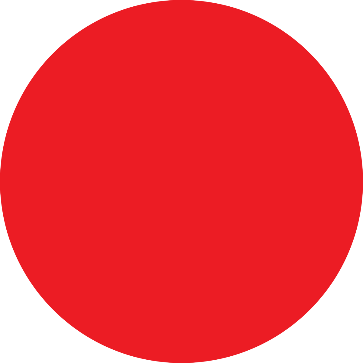 Полировальный круг на липучке ЗУБР 3596-180 180 мм 1 шт