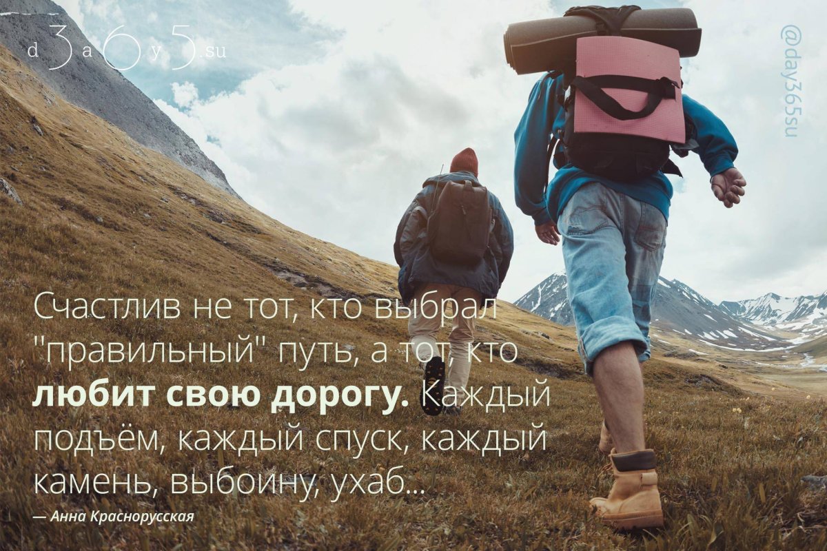 Дорога только вперед