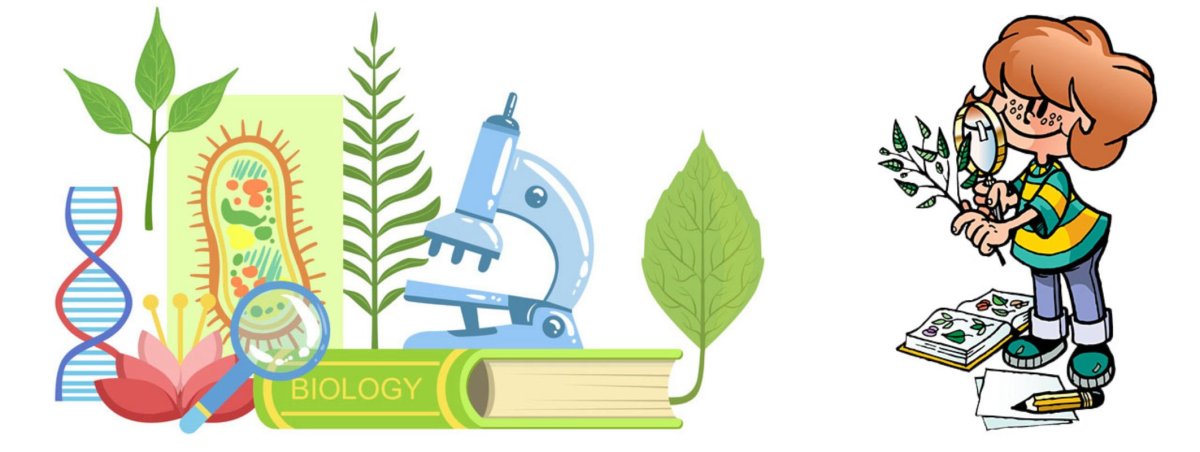 Исследователь на прозрачном фоне