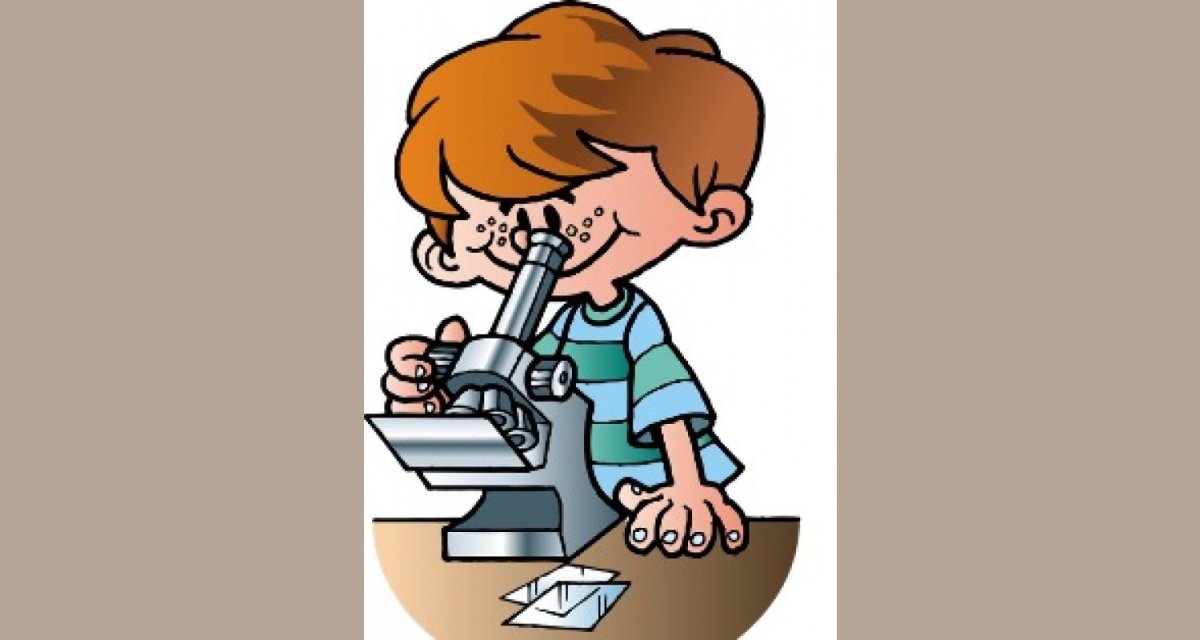 Исследовательская деятельность рисунок