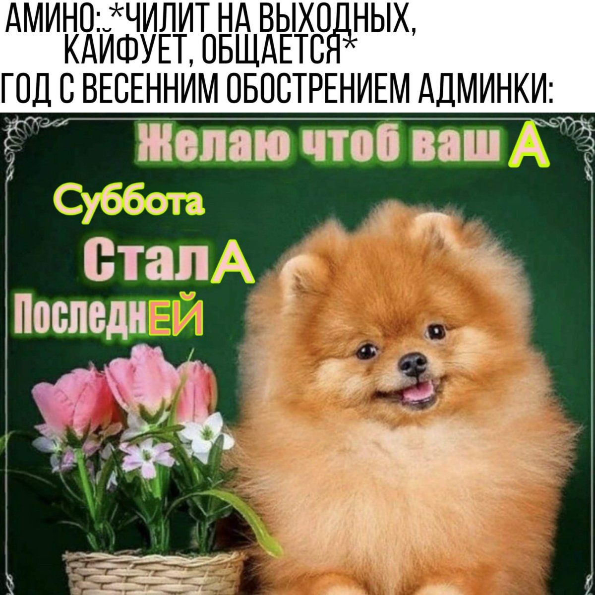 Доброе утро вторника прикольные