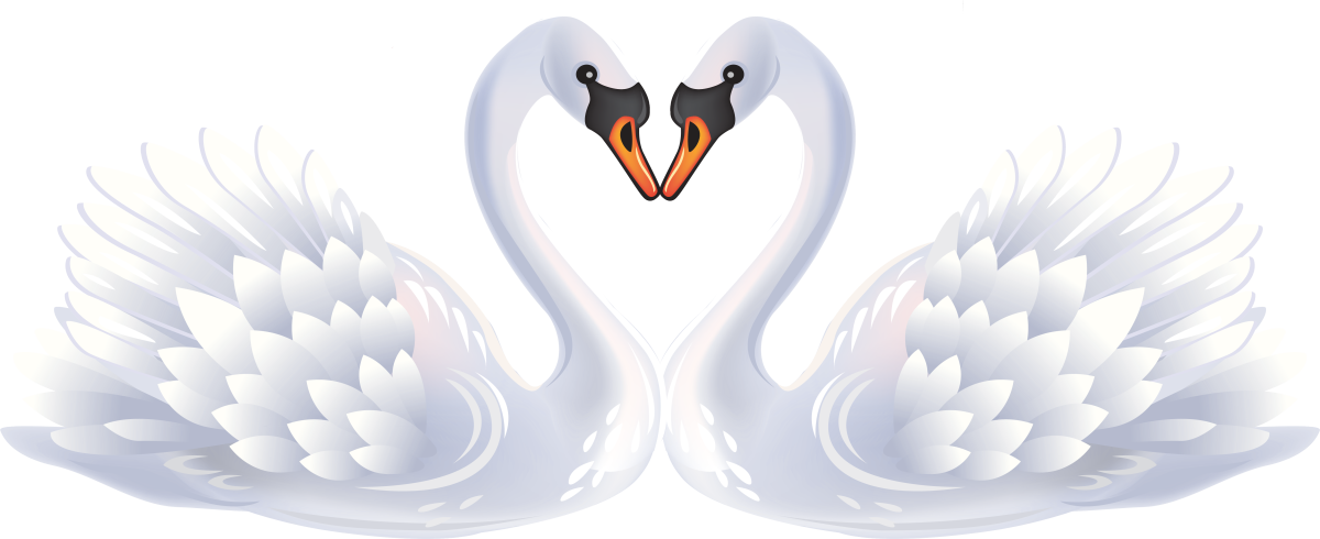 Лебедь на белом фоне