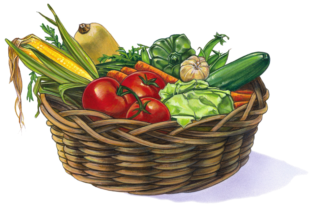 Фруктово овощная корзина рисование