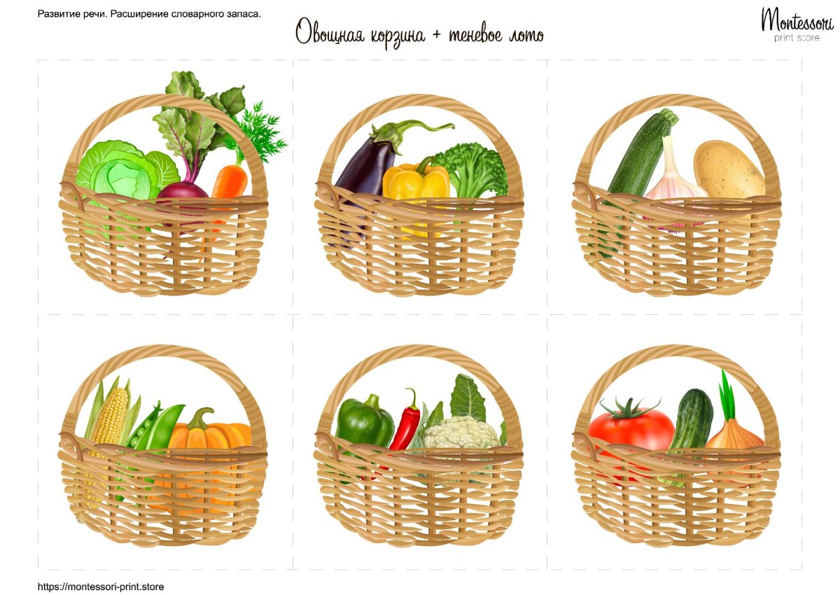 Корзинка с продуктами вектор