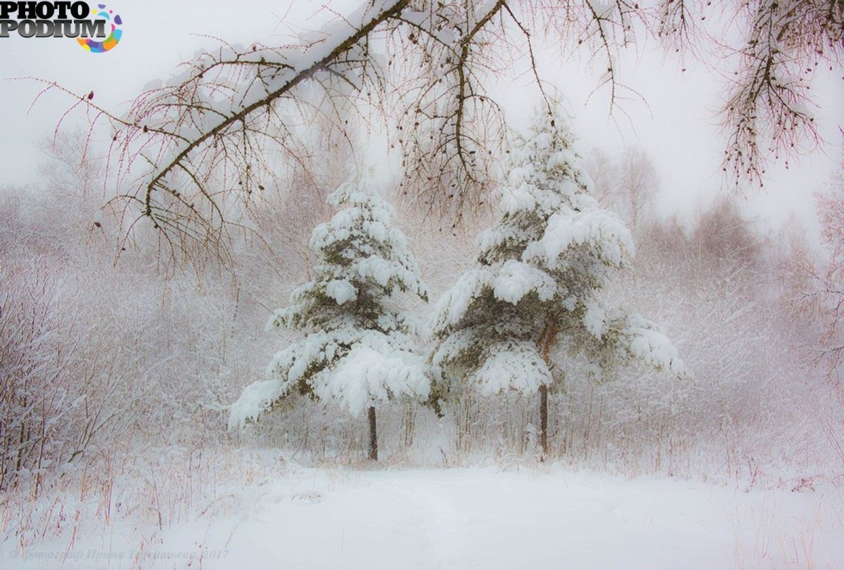 Метель и вьюга