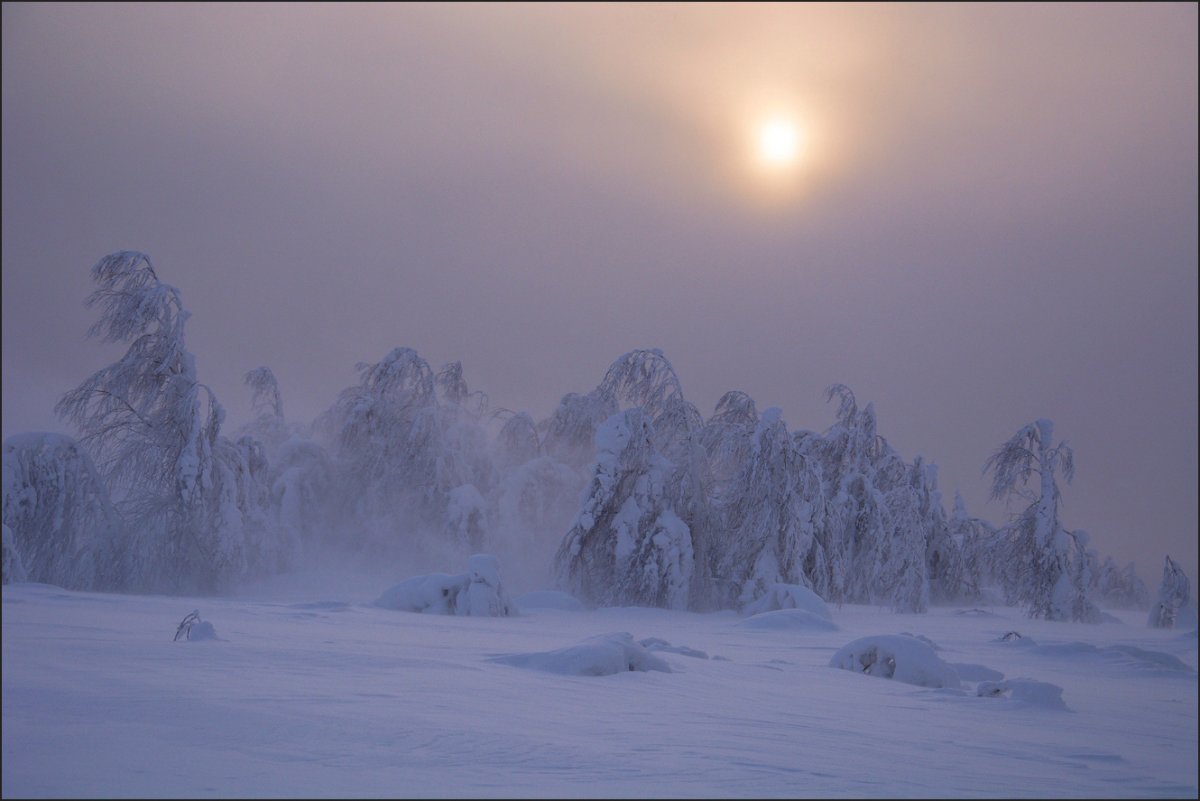 Буран вьюга