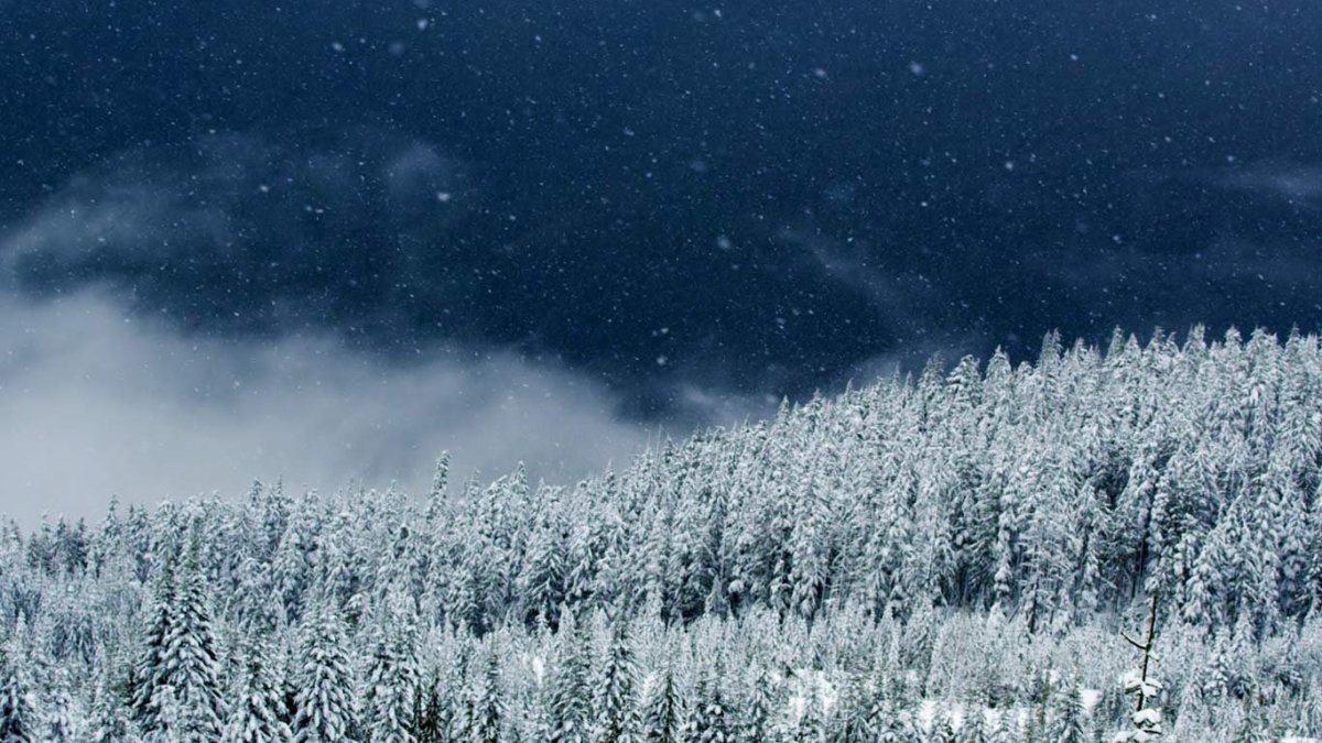 Буря Снежная ночью