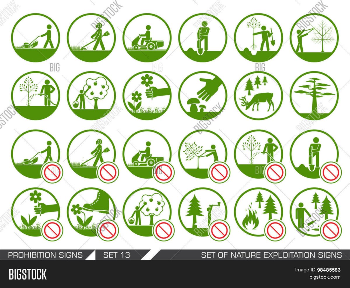 Разрешающие экологические знаки для детей