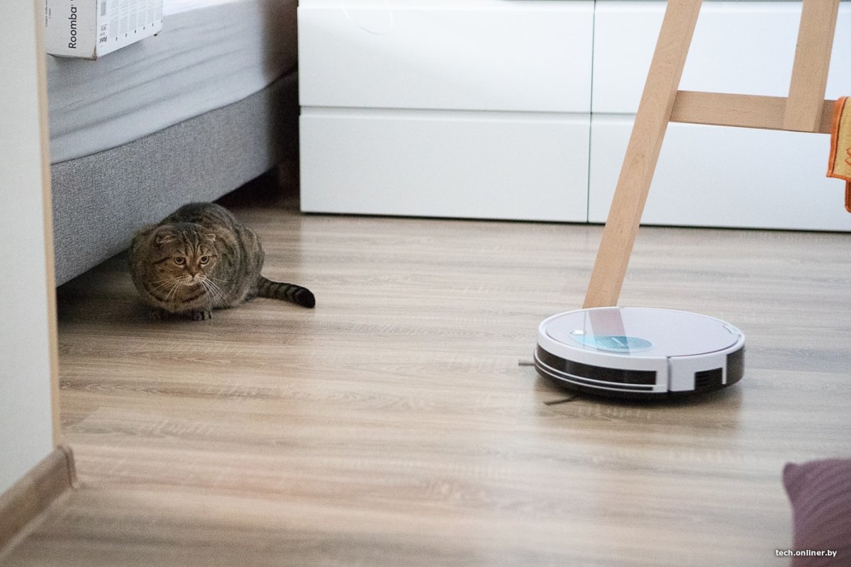 Робот-пылесос и кошка