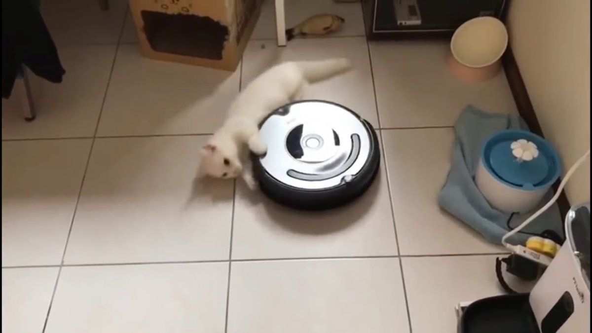 Робот пылесос гифка