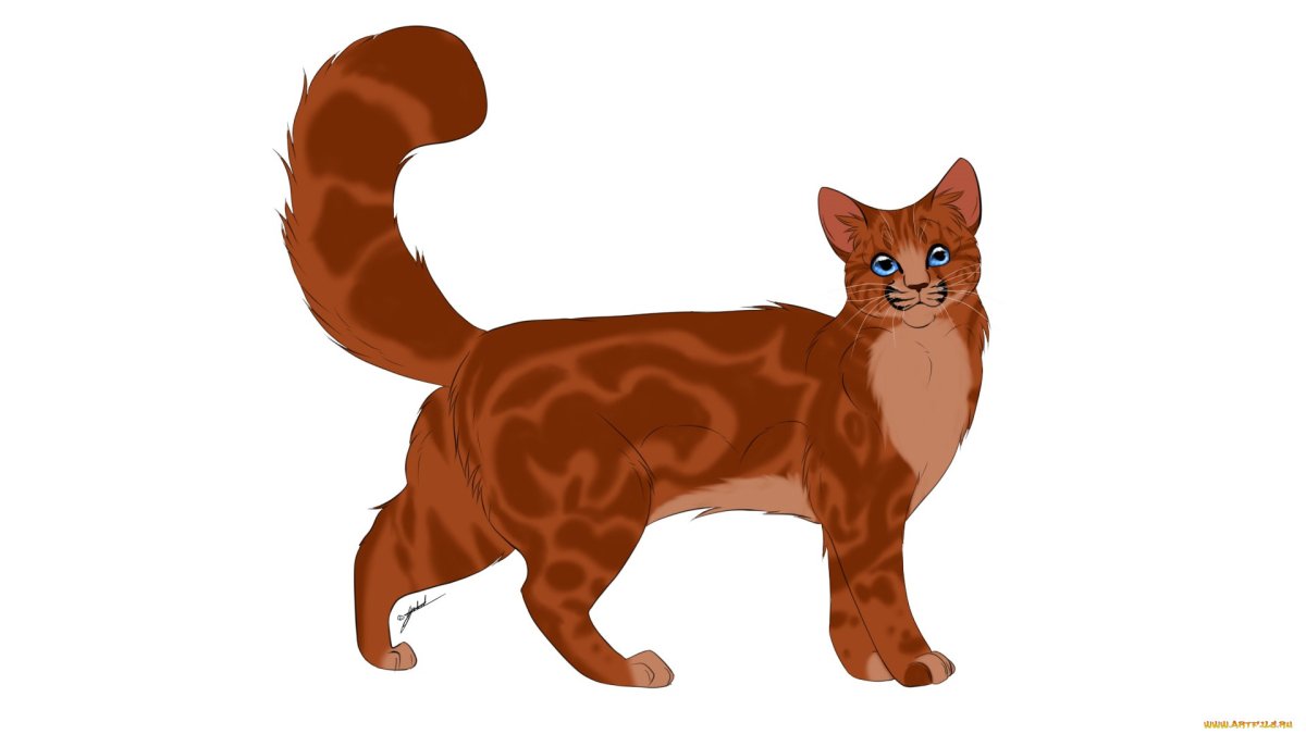 Кошка клипарт на прозрачном фоне