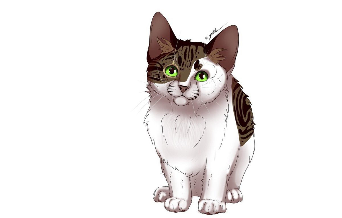 Кот на белом фоне мультяшный