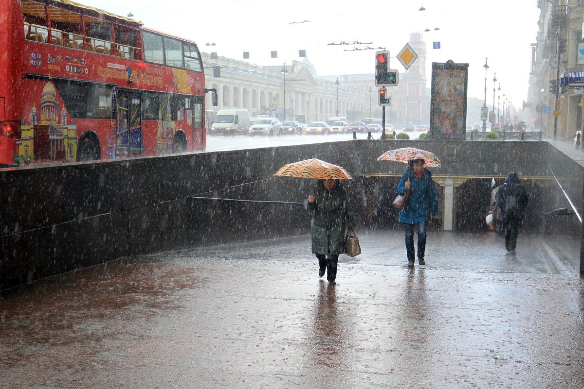 Дождливое лето в Питере