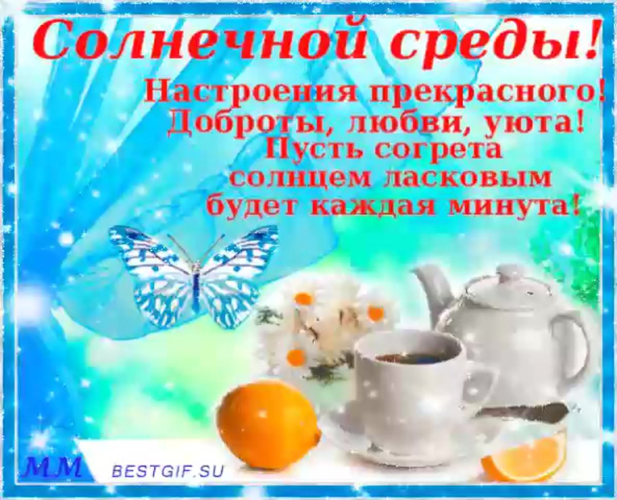 Добрый день четверг