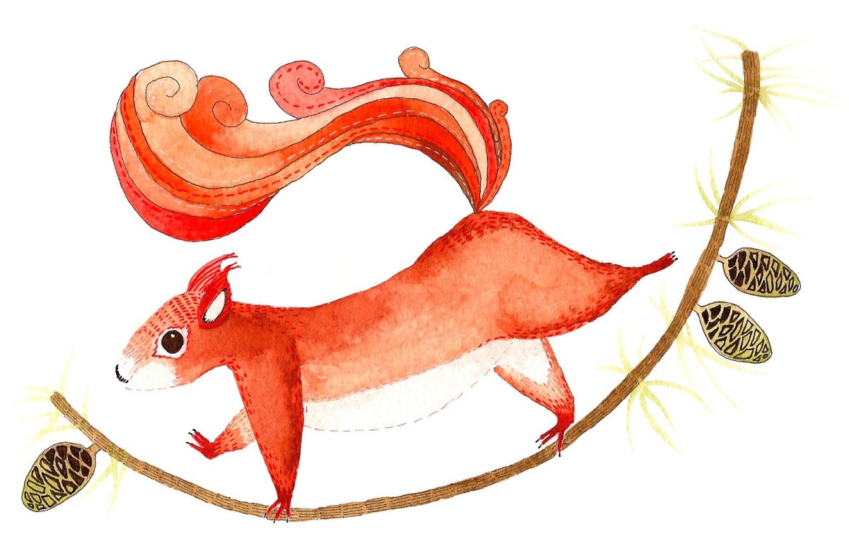 Нарисовать белочку