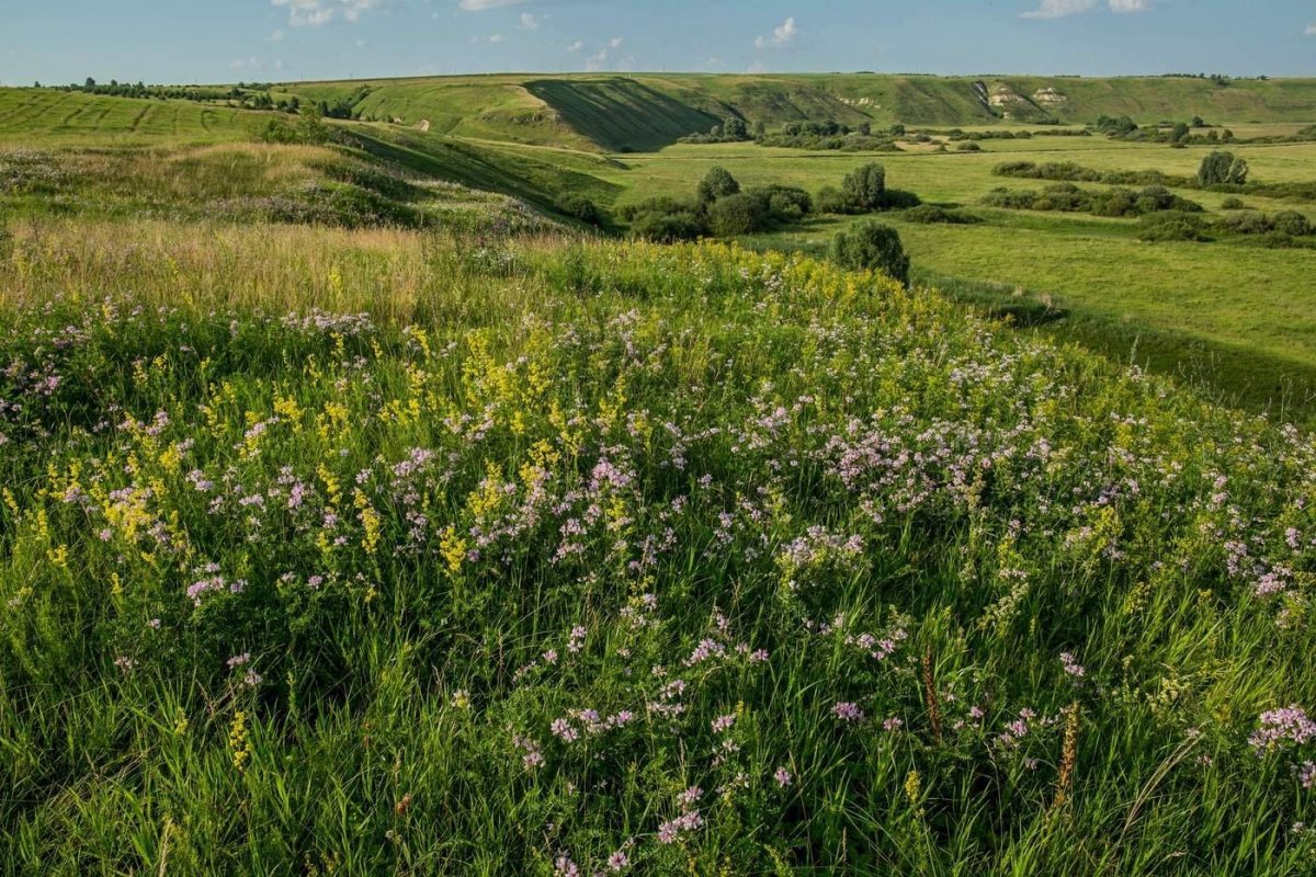 Национальный парк нижняя Кама