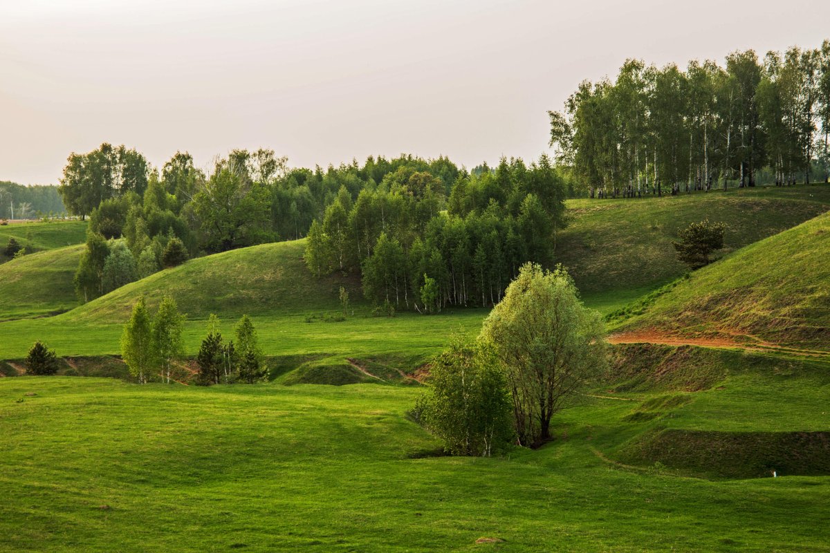 Удмуртия Холмистая равнина