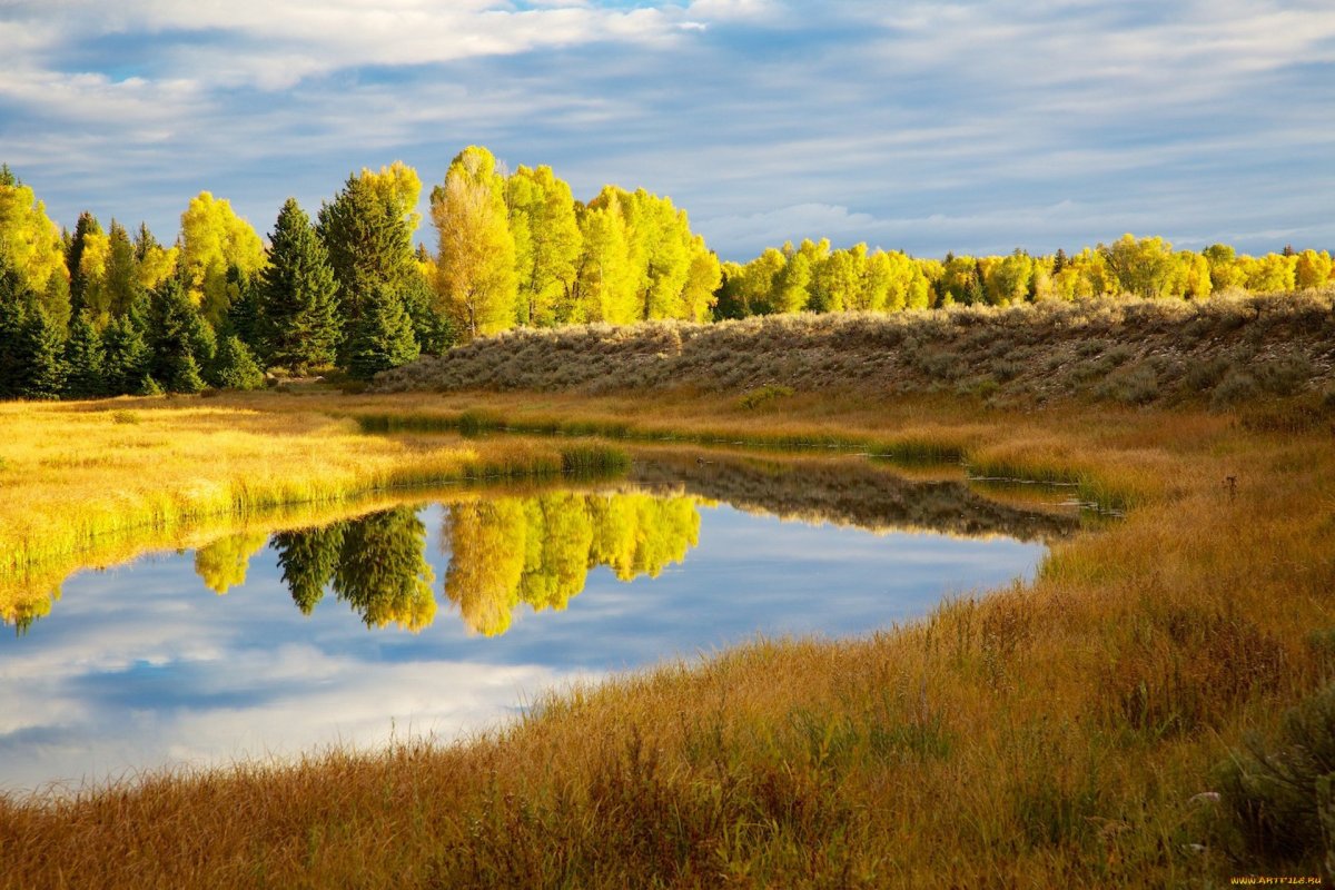 Леса Татарстана Елабуга