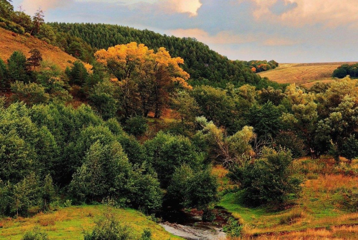 Родные просторы Татарстана пейзаж