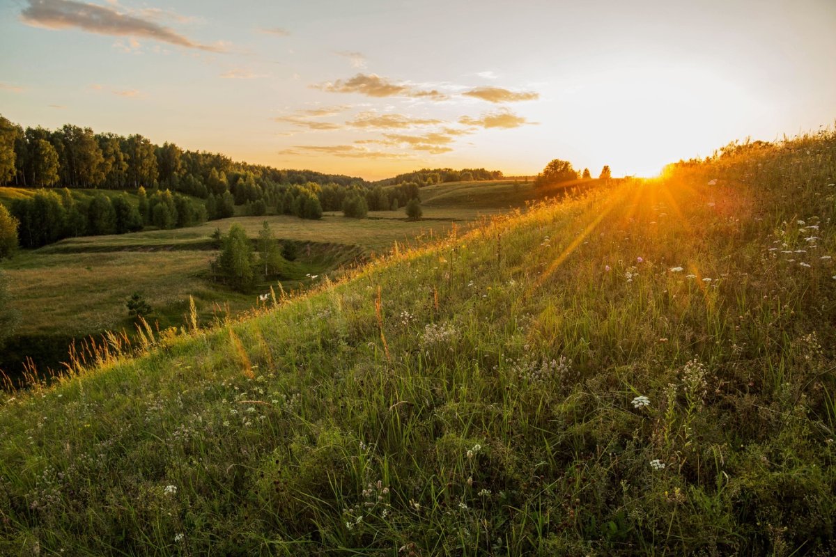 Холмы Татарстана