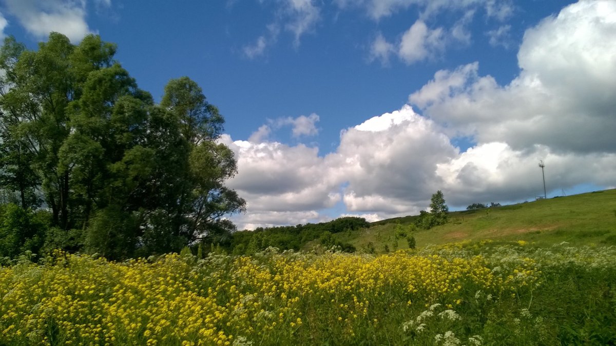 Родные просторы Татарстан