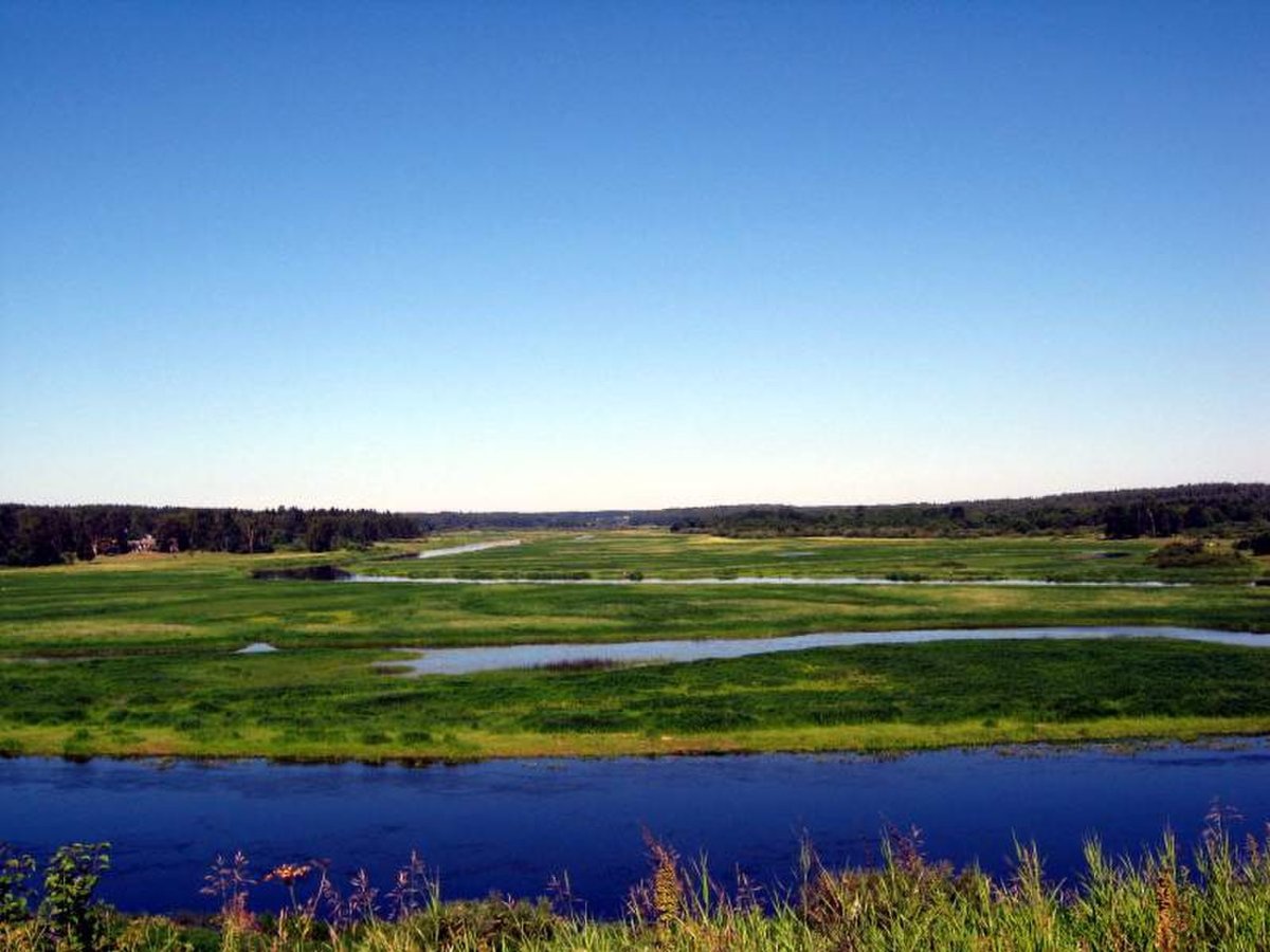 Татарстан флаг Ислам