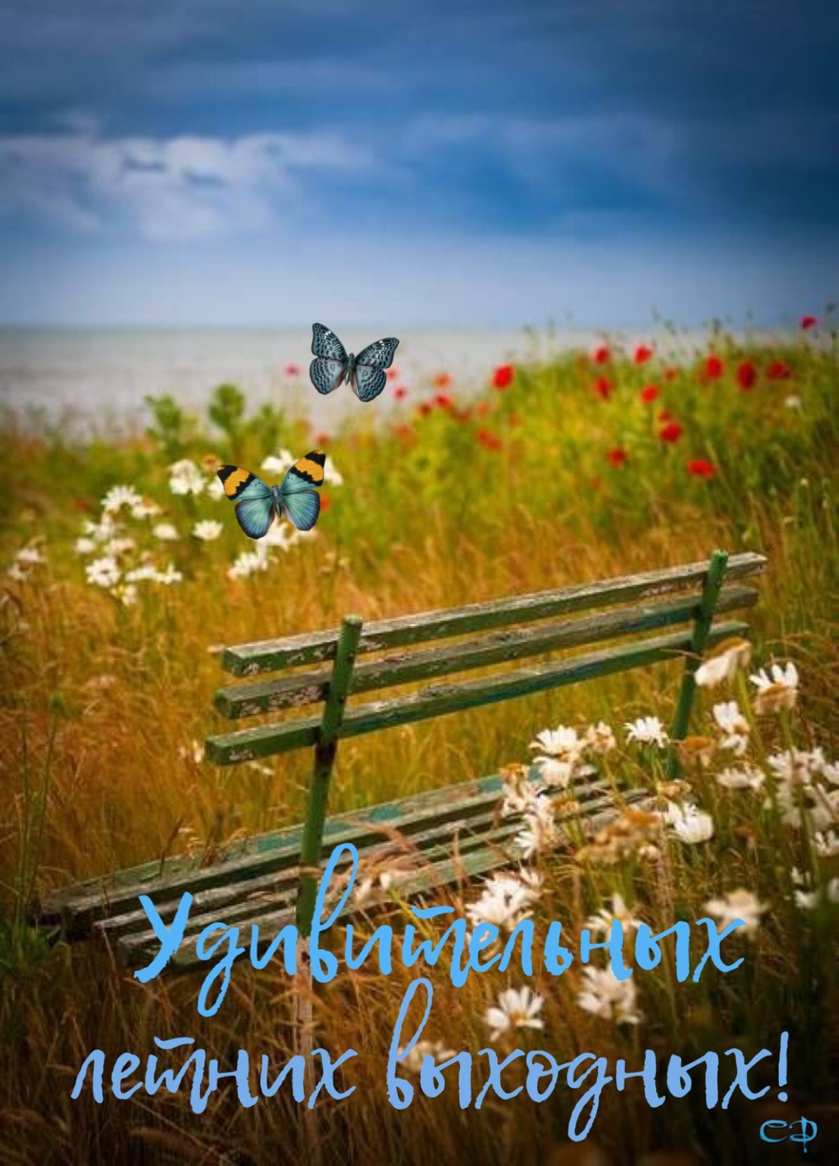 Красивая природа деревня