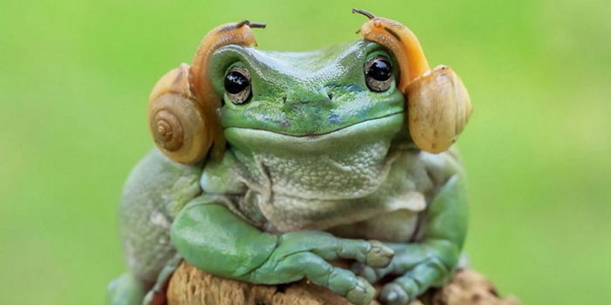 Лягушка на улитке