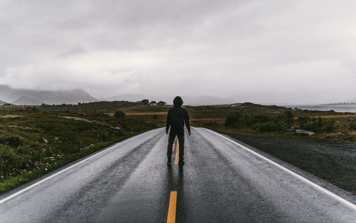 Розовый лес