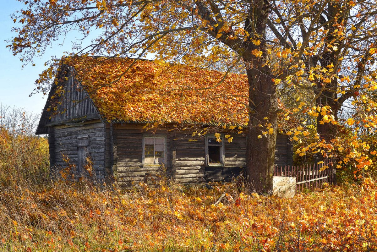 Поздняя осень в деревне