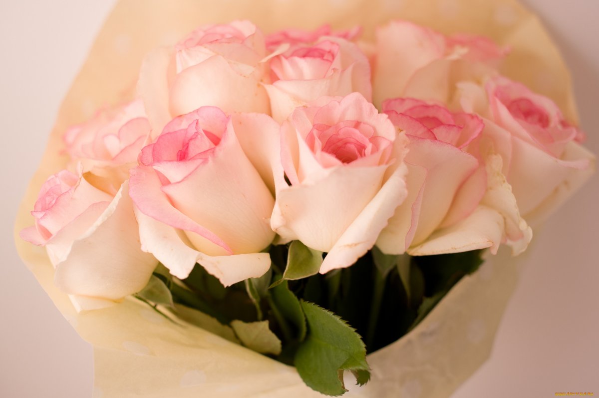 Нежные цвета