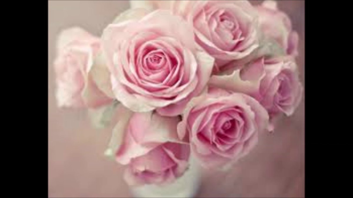 Цветы розы нежно-розовые/12шт