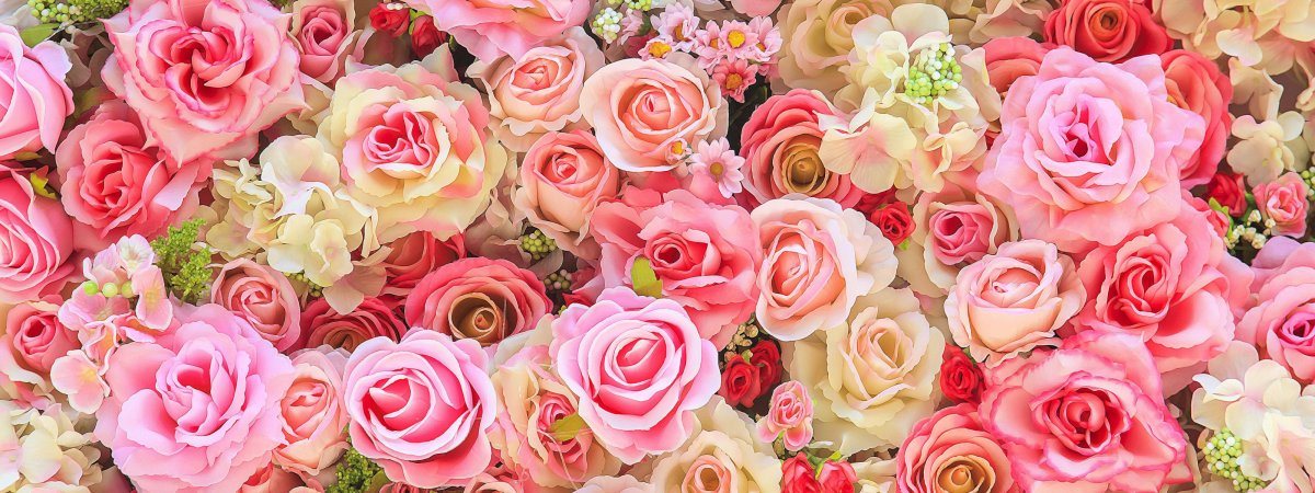 Бутоны нежных цветов