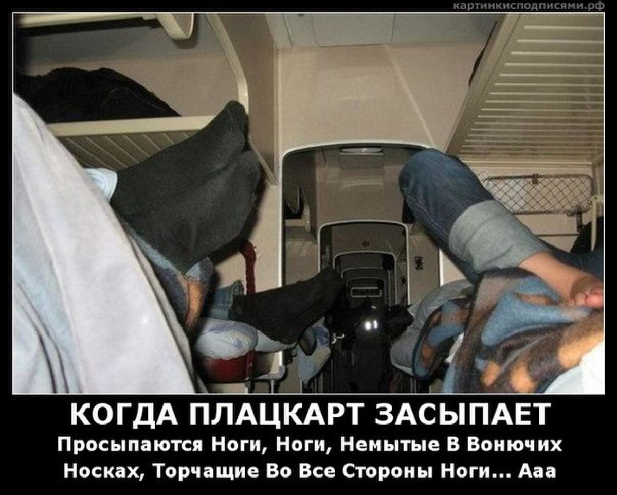 Путешествие на поезде