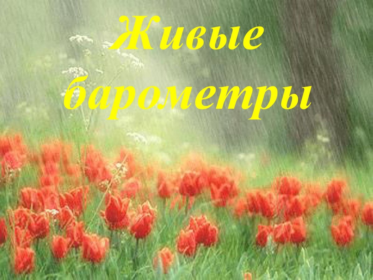 Радостных дней и прекрасных мгновений