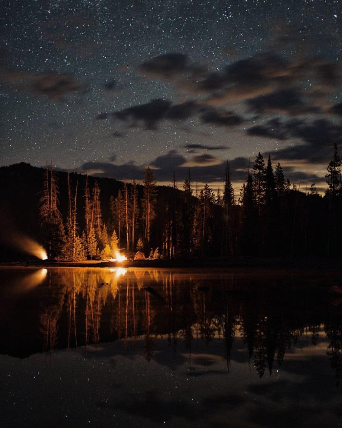 Красивая ночная природа