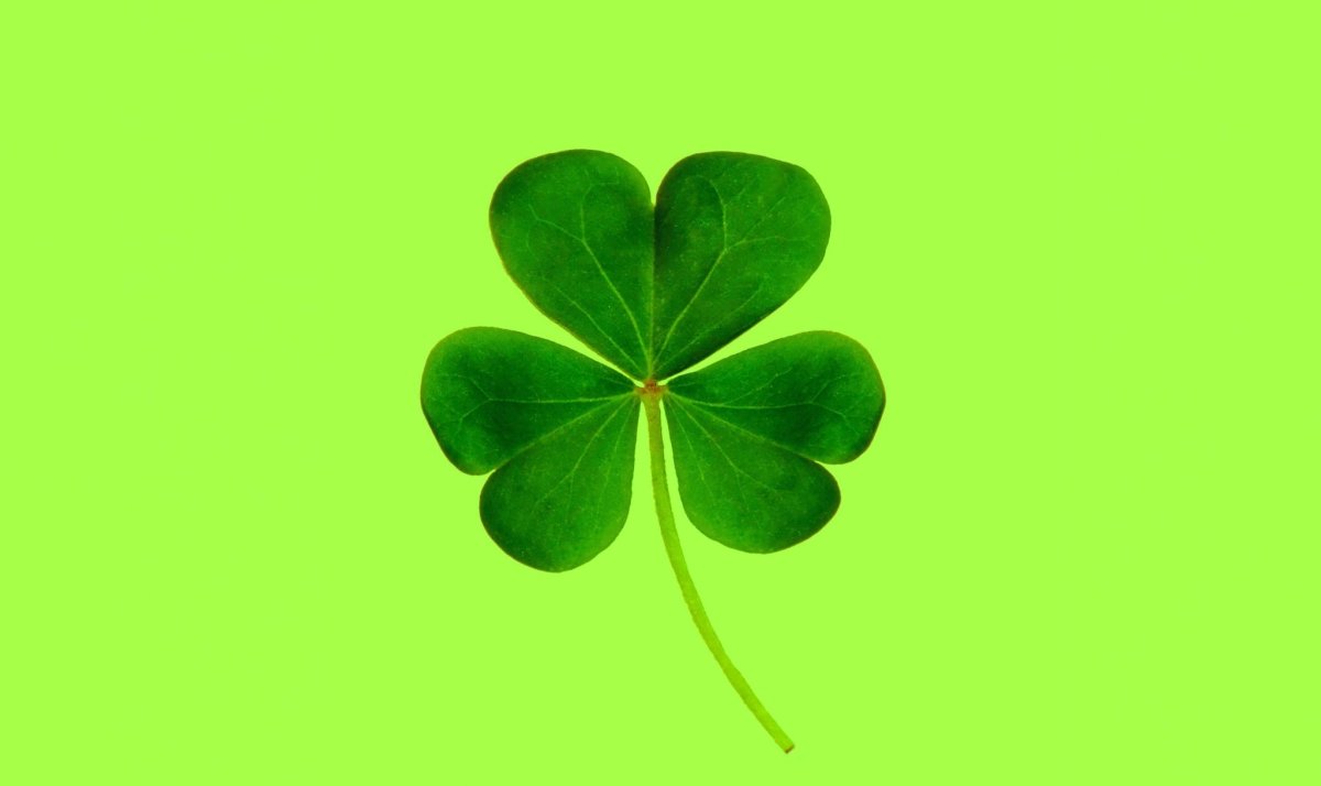 Клевер четырехлистник