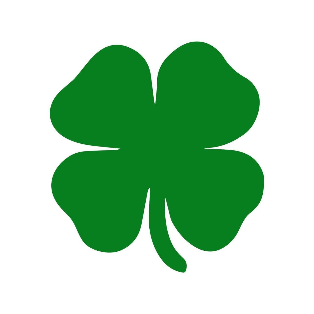 Зеленый Клевер четырехлистный