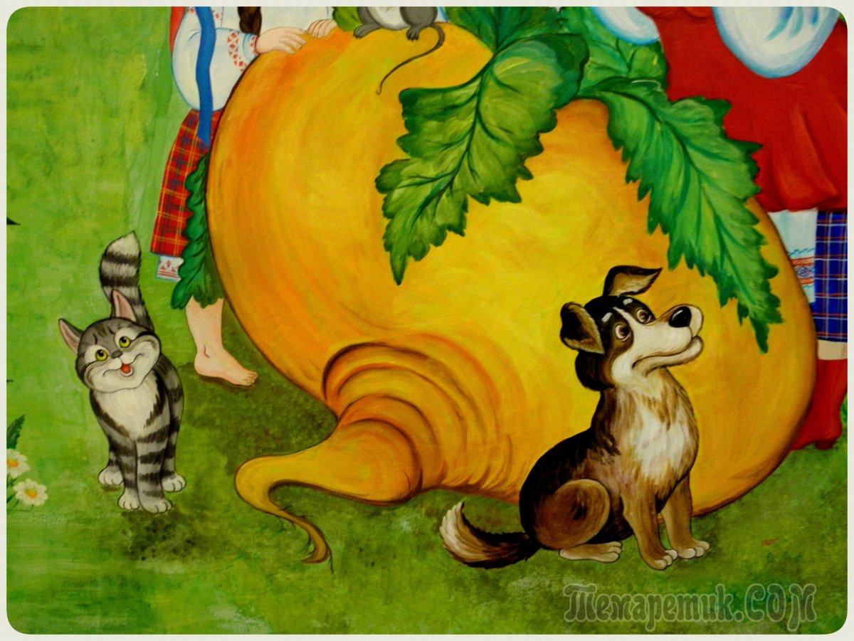 Сказка Репка жучка