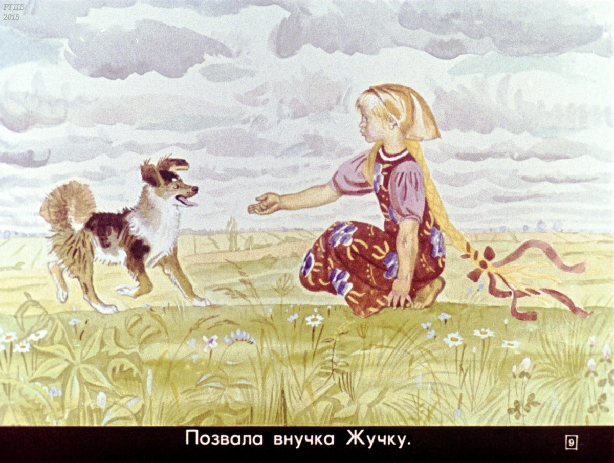 Репка внучка жучка