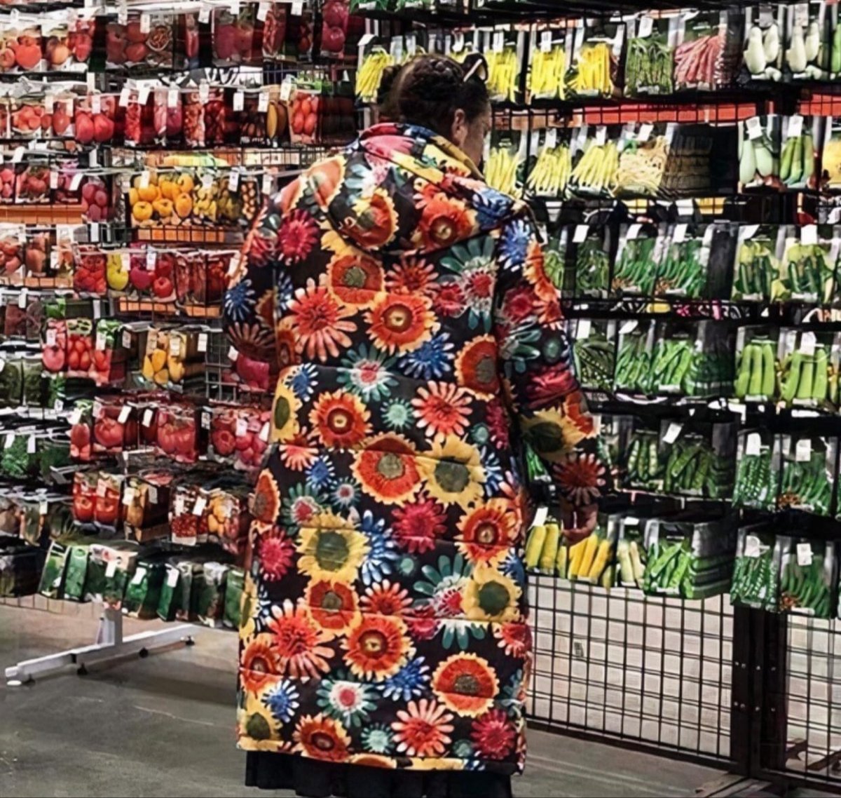 Кот и рассада