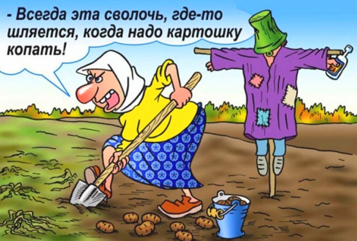 Рассада юмор