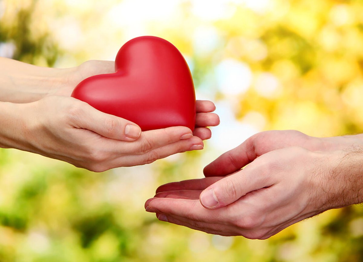 Сердце в руках