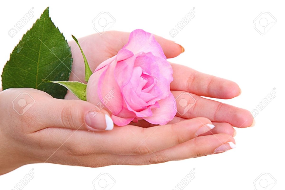 Благодарю вселенную