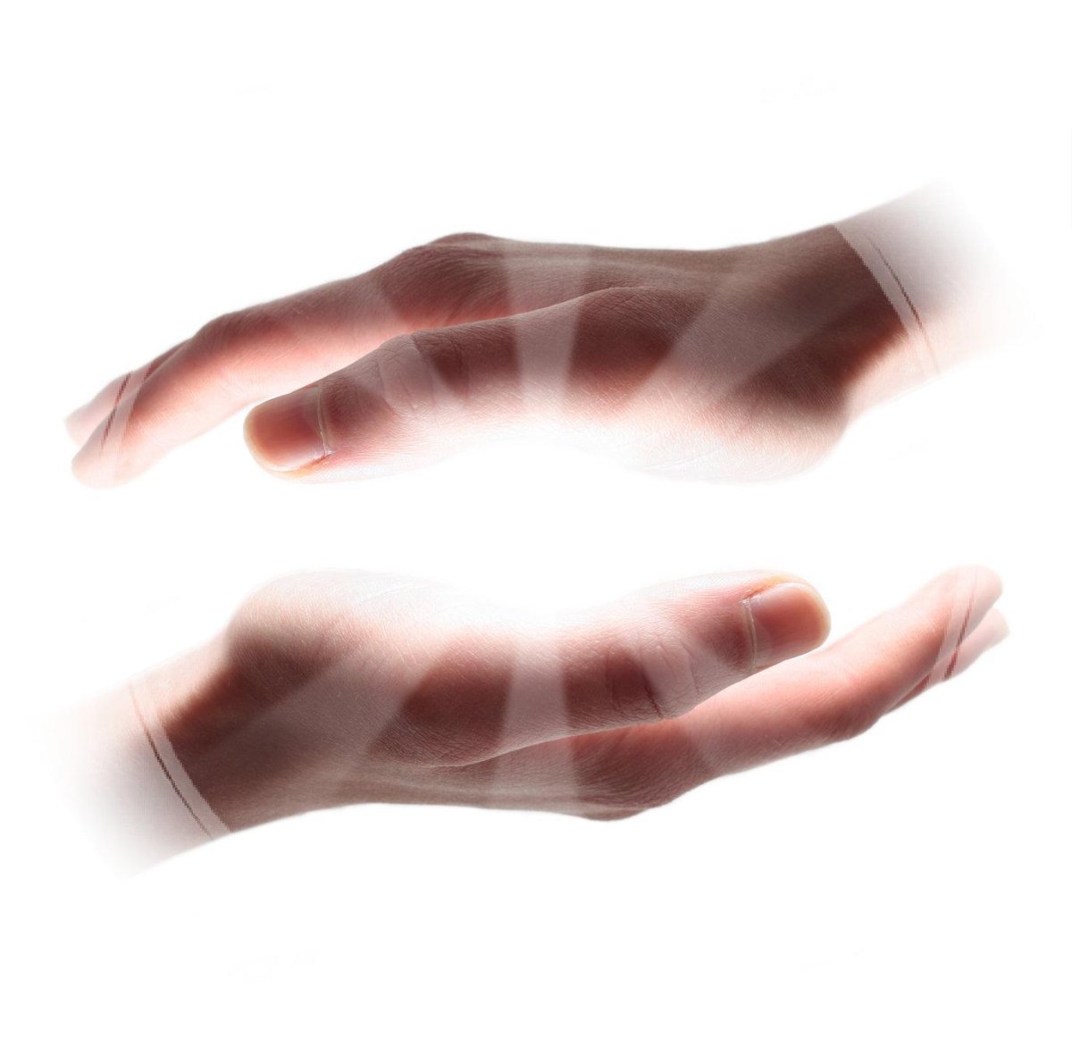 Оранжевый цветок в руках