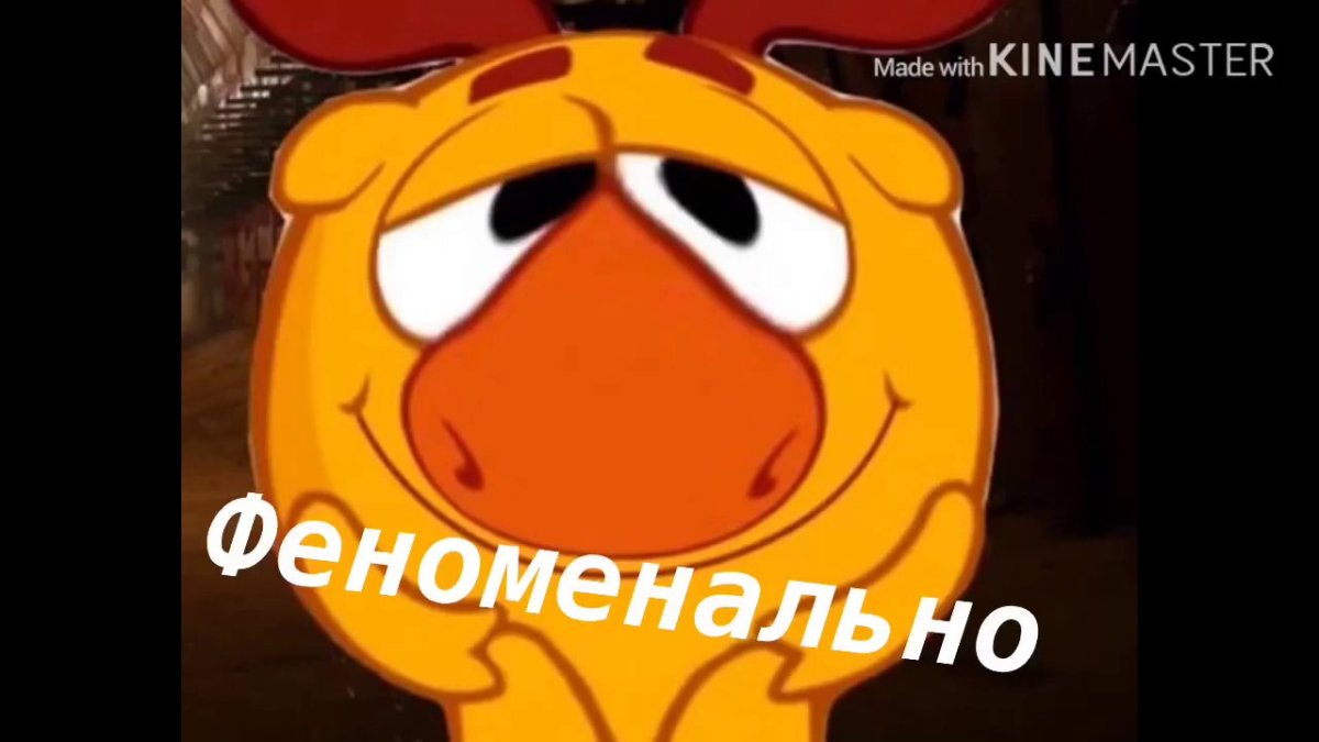 Мемы про смешариков