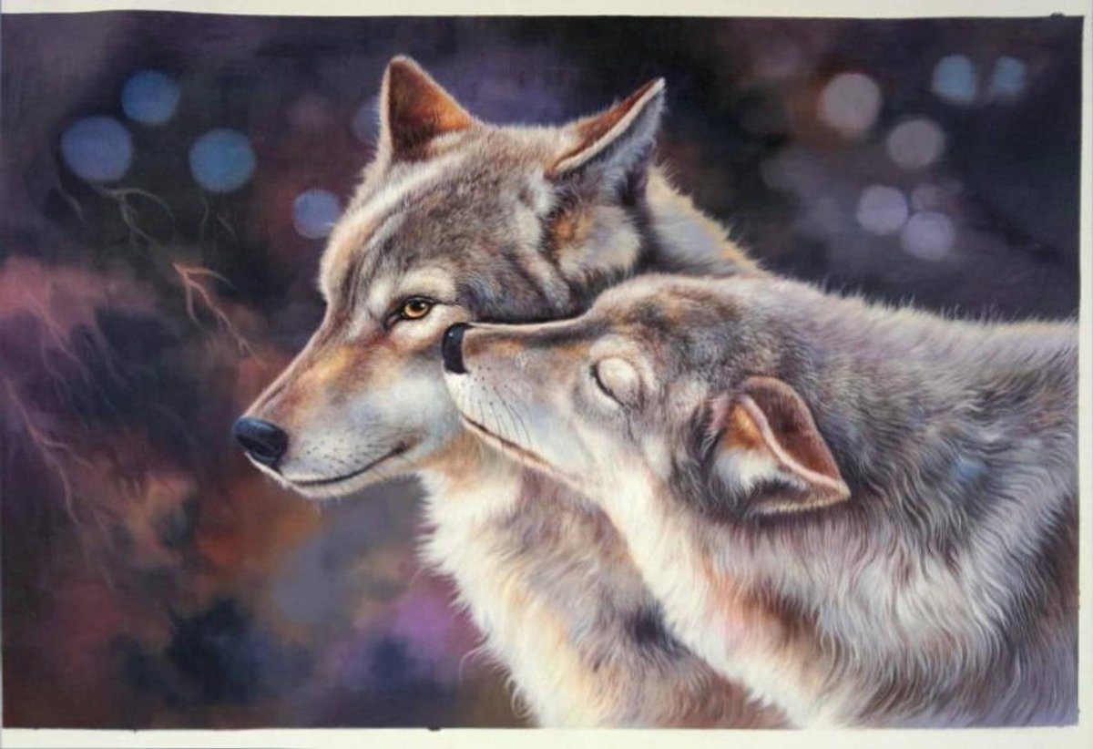 Пара Волков