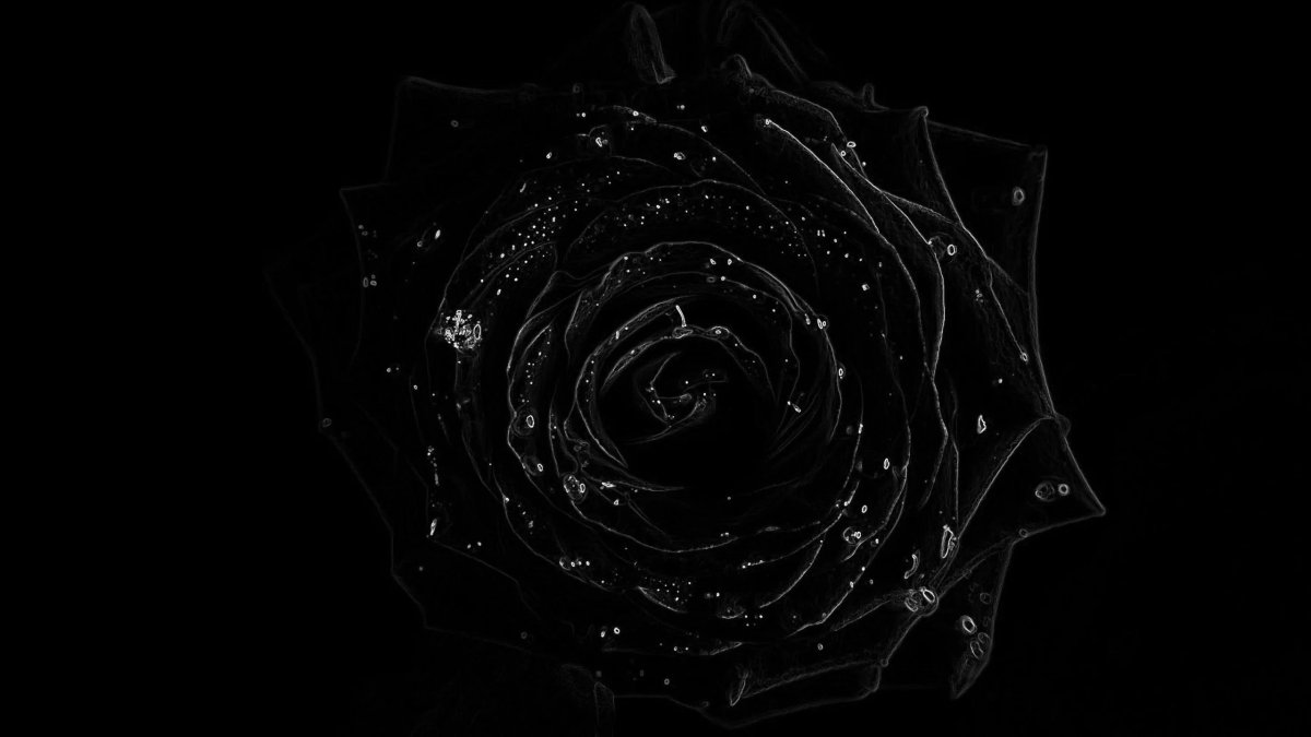 Черная заставка на рабочий стол